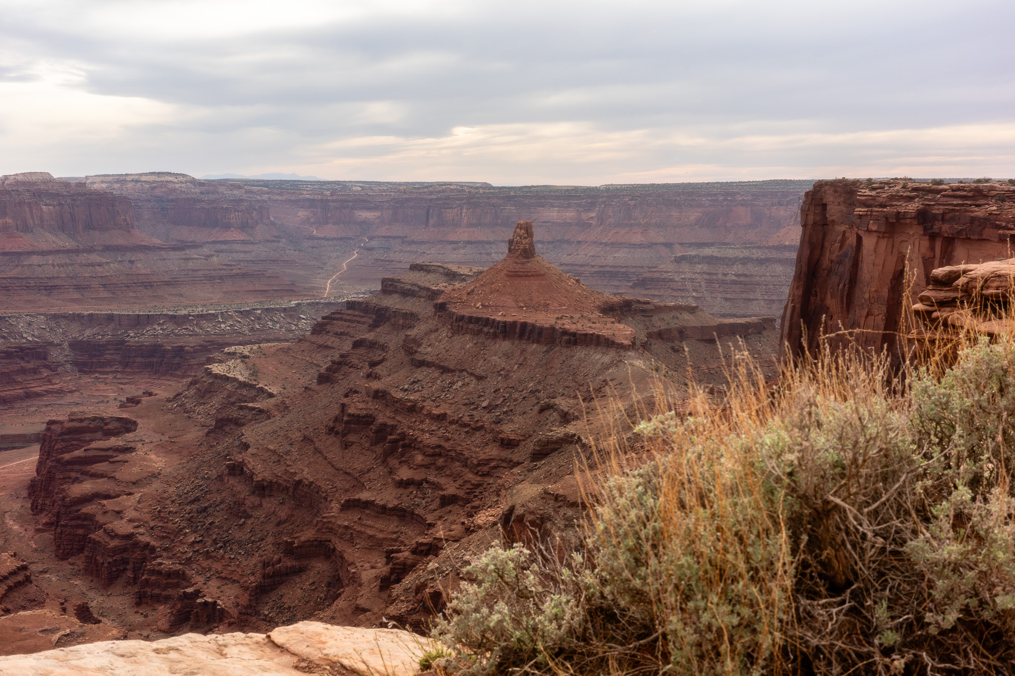 Photography by Taylor Douthit