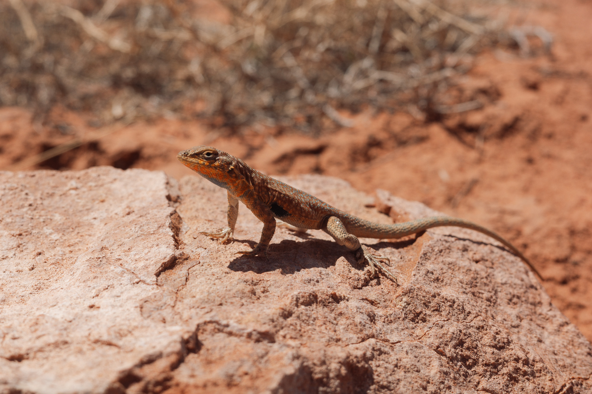 Photography by Taylor Douthit