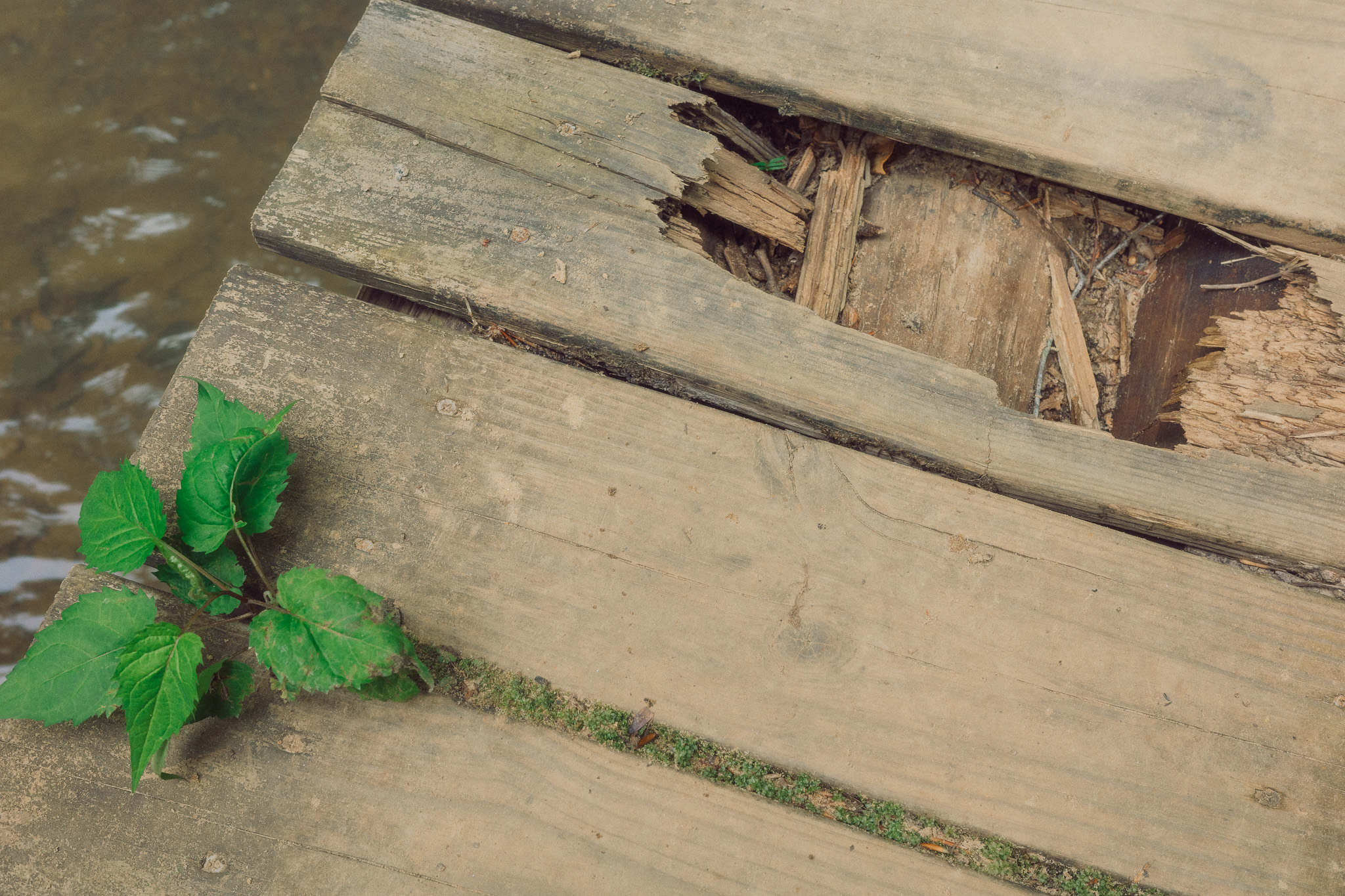 Photography by Taylor Douthit