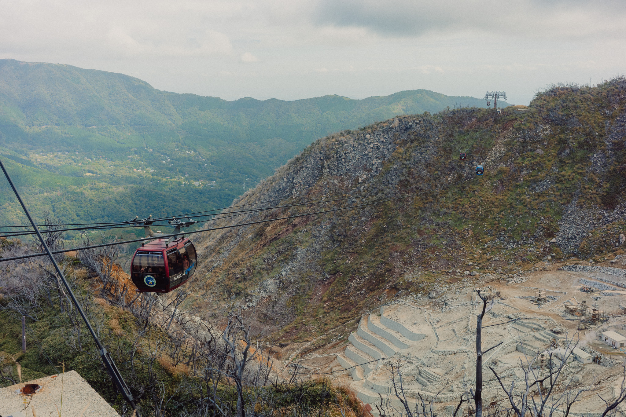 Photography by Taylor Douthit