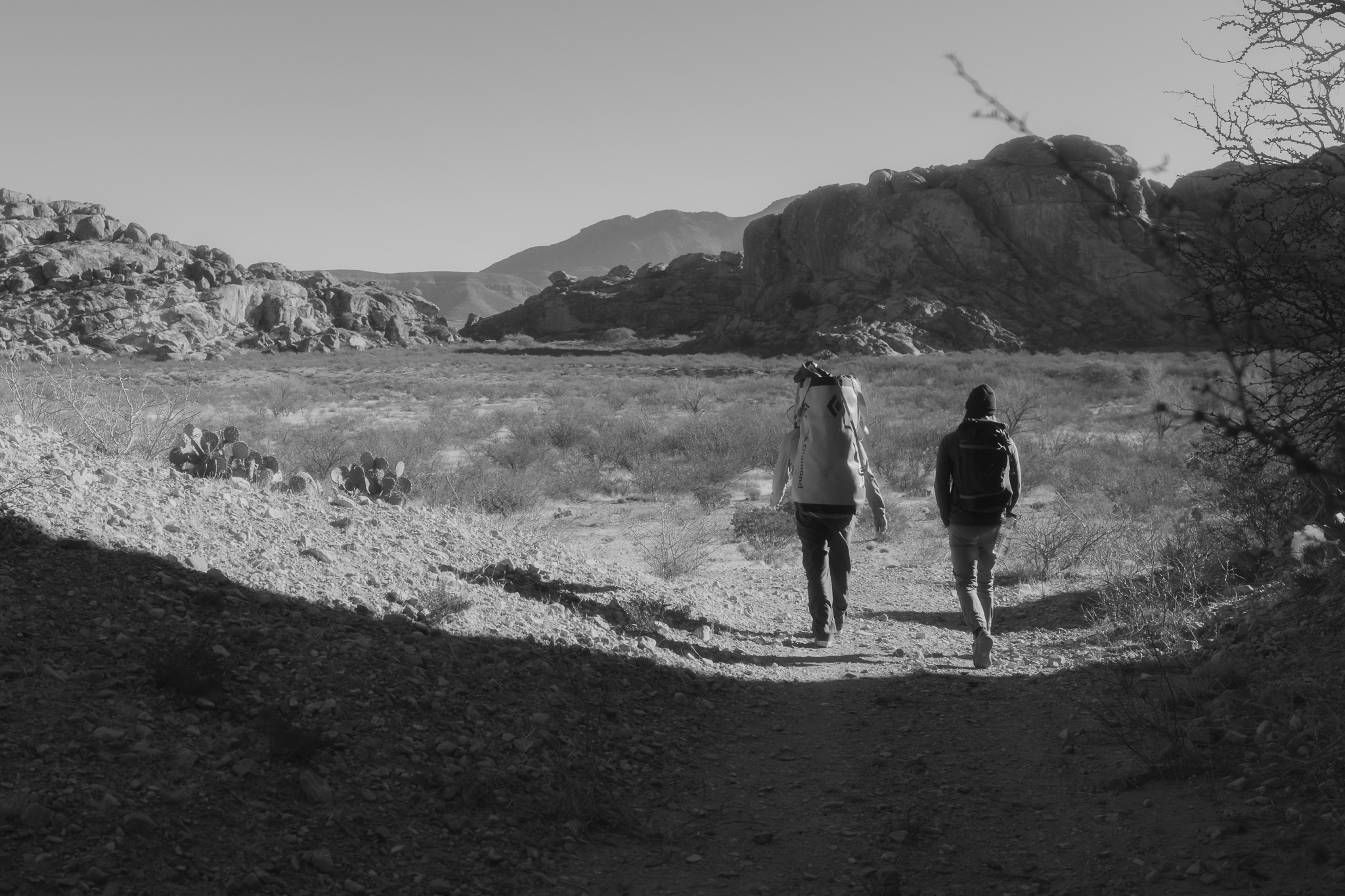 Photography by Taylor Douthit